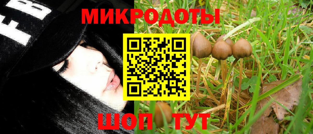 Галлюциногенные грибы GOLDEN TEACHER  Каспийск  Псилоцибиновые грибы GOLDEN TEACHER 