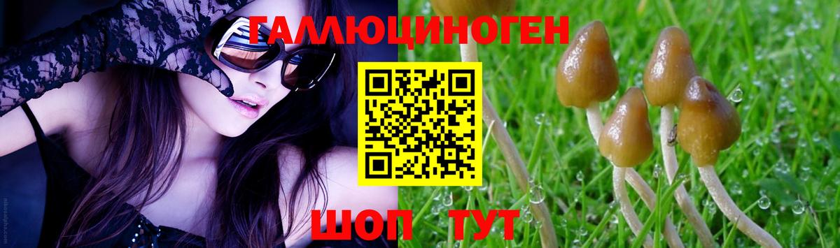 Галлюциногенные грибы ЛСД  Галлюциногенные грибы Psilocybine cubensis  Вход с VPN  цены наркотик  Каспийск 